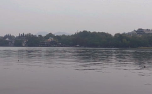 《西湖的“綠”》