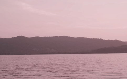 ����֮������