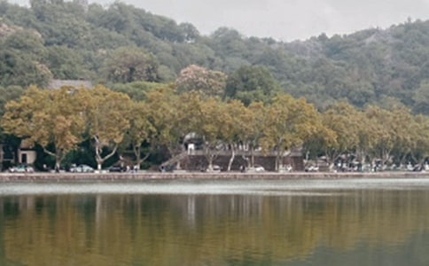 ������(y��u)������[��Ʒ]