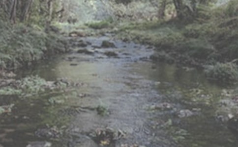 СϪ���ĸ��m(x��)