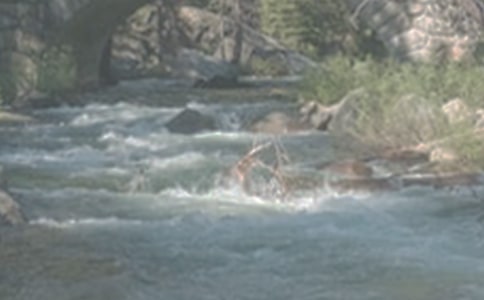 ��СϪ���ĸ衷�Ľ̌W(xu��)�O(sh��)Ӌ