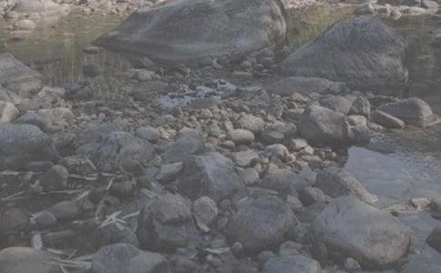 ��СϪ���ĸ衷