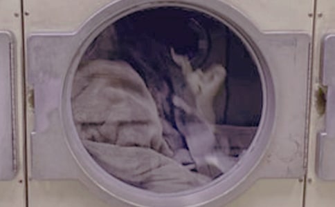 ϴ�·����˿��Y