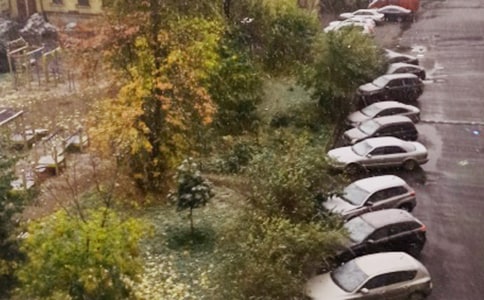 �P����ѩ������100�֣�ͨ��66ƪ��