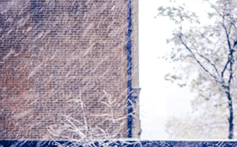 ���᡿��ѩ������