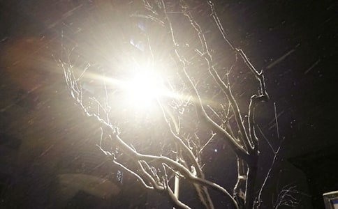 ���P(gu��n)��ѩ��ӛģ���\��4ƪ