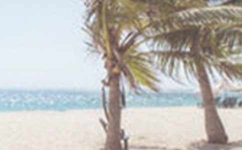 �ļ���Ѵ�����R��