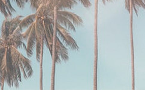 ��ϲ�g�ļ�����15ƪ