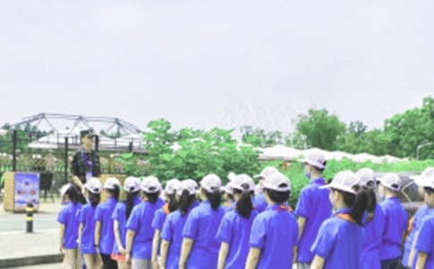 夏令營計劃方案(通用7篇)