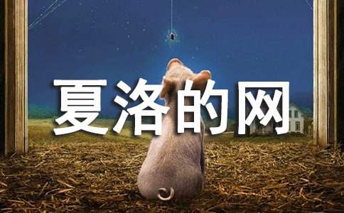 夏洛的網(wǎng)好詞好句