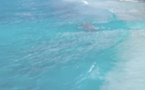 �����L(f��ng)��С�W(xu��)������300�֣�ͨ��4ƪ��