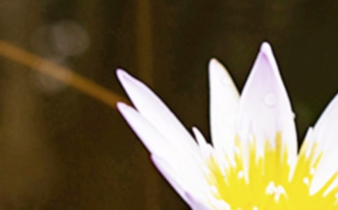 �����ľ���