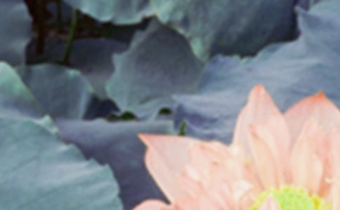 �������ֶ̾��(bi��o)�}