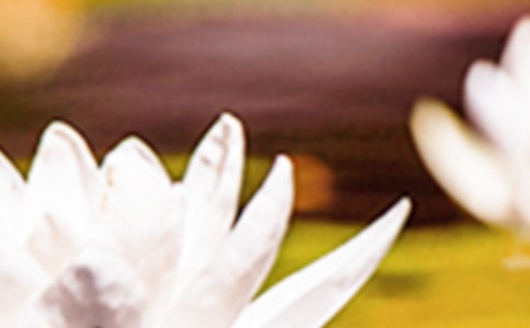 �P(gu��n)�������ľ���