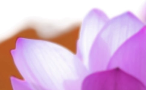 �P(gu��n)���������Z(y��)�5ƪ