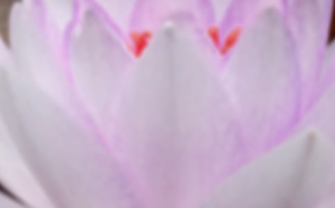 夏至的經(jīng)典句子