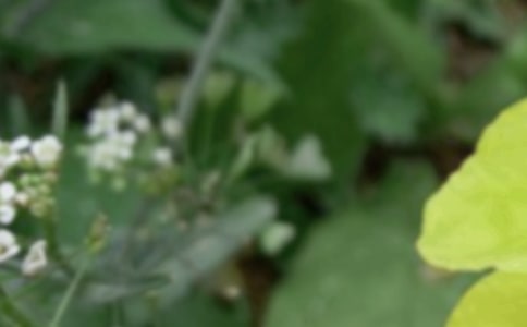 �������Ӻ���