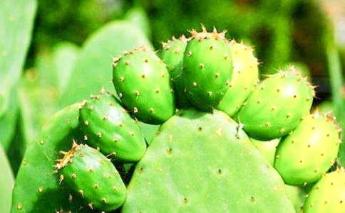 �P(gu��n)����������ӛ���ąR����ƪ