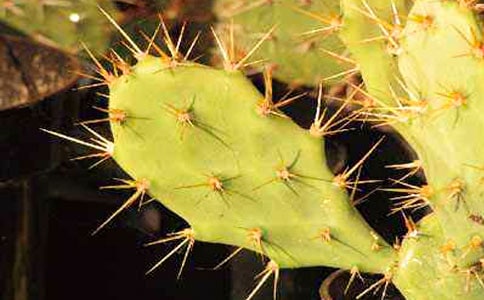 �����ƃ�(y��u)������