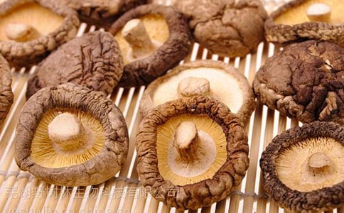 �㹽����Ƭ