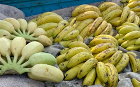 ���꼉(j��)�㽶�����\��6ƪ