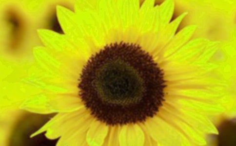 ��ϲ��(��i)�����տ�����