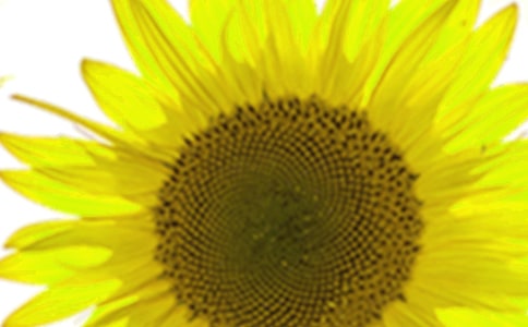 ��ϲ�۵����տ����ģ�ͨ�ã�