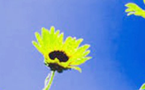 ���տ���(y��u)������(15ƪ)