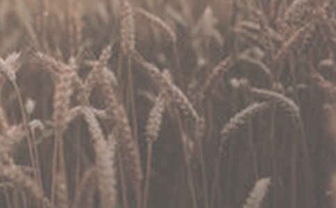 �茑����С���ľ���