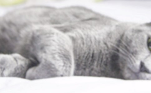 �ɐ۵�С؈�����ąR��15ƪ