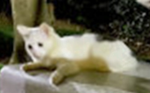 С؈�^����ӛ���᡿