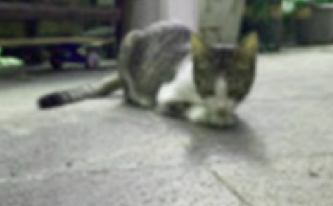 �����]��С؈������