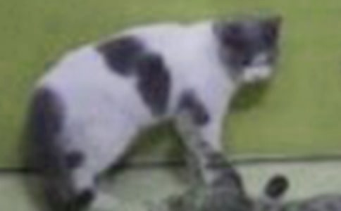 �����^����ӛ��С؈