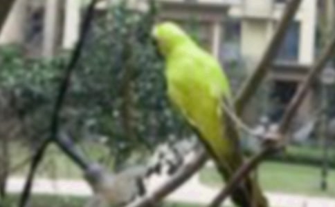 ��ŭ��С�B��(j��ng)���Z�