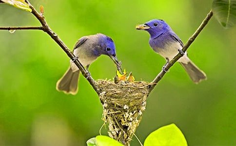 С�B��(y��u)������(��)