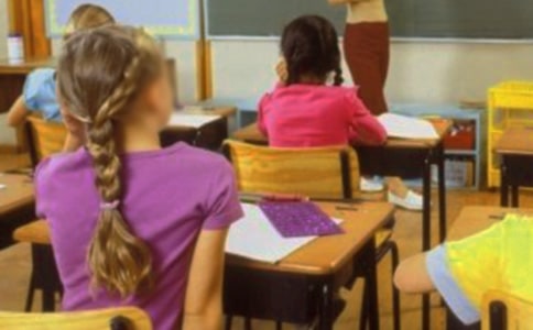 (精選)實用的小學(xué)生作文300字5篇