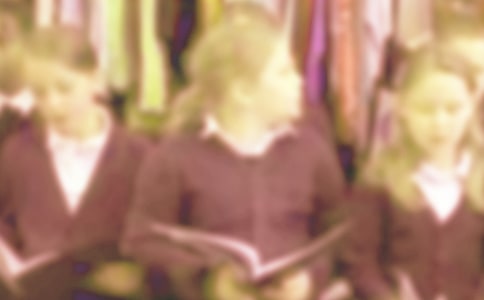 小學(xué)生暑假的作文