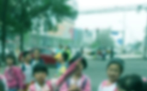 小學(xué)生的作文