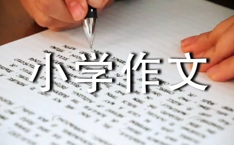 ����a(b��)��(x��)��С�W(xu��)���ģ�ͨ��3ƪ��