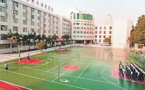 校園安全自查情況報告