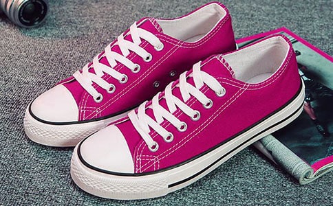 未來的鞋子作文500字