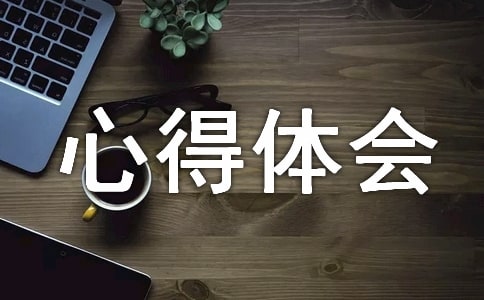 現(xiàn)代社交禮儀心得體會