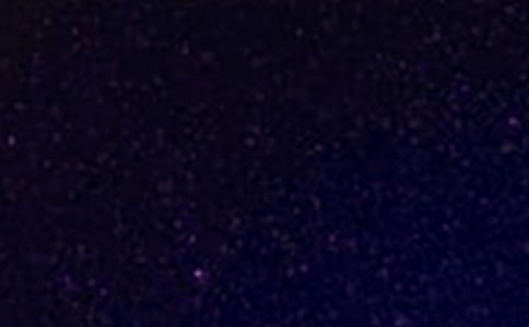 仰望星空與腳踏實(shí)地初一作文