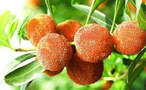 �P(gu��n)�ڗ�÷����(15ƪ)