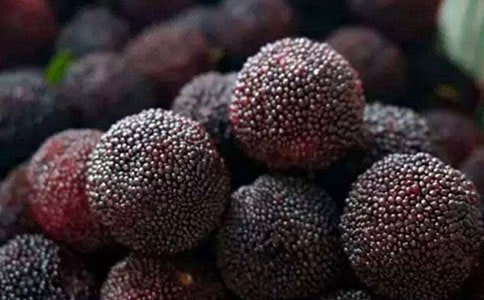 家鄉(xiāng)的楊梅作文