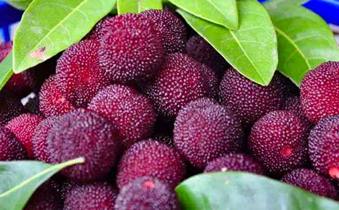 �o��÷ʩ������