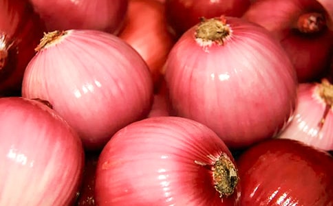 �����[����(�؂�)