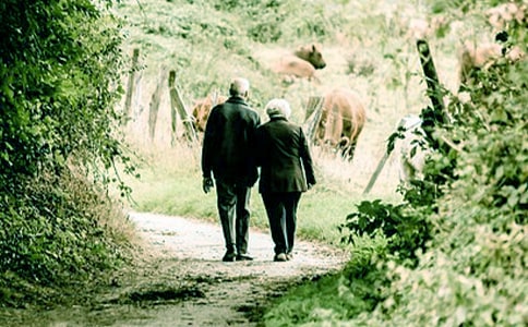 �ڄڵĠ�������