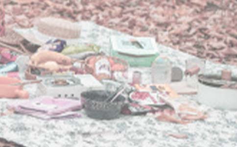 精選小學(xué)生野餐作文50篇