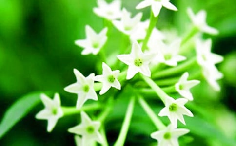 ҹ���マ(y��u)������